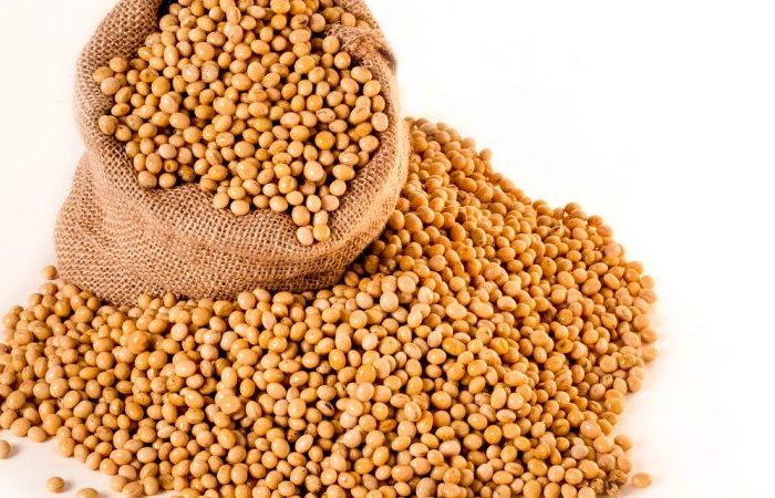 soybeans-g05729a89a_1280-900x450